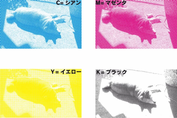 四色分解でフルカラー印刷やってみました！ | 【公式】magtas | 長野県 